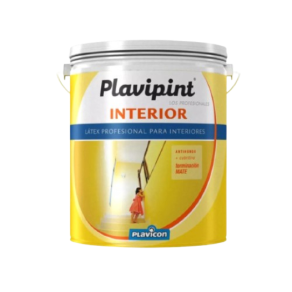 Plavipint interior